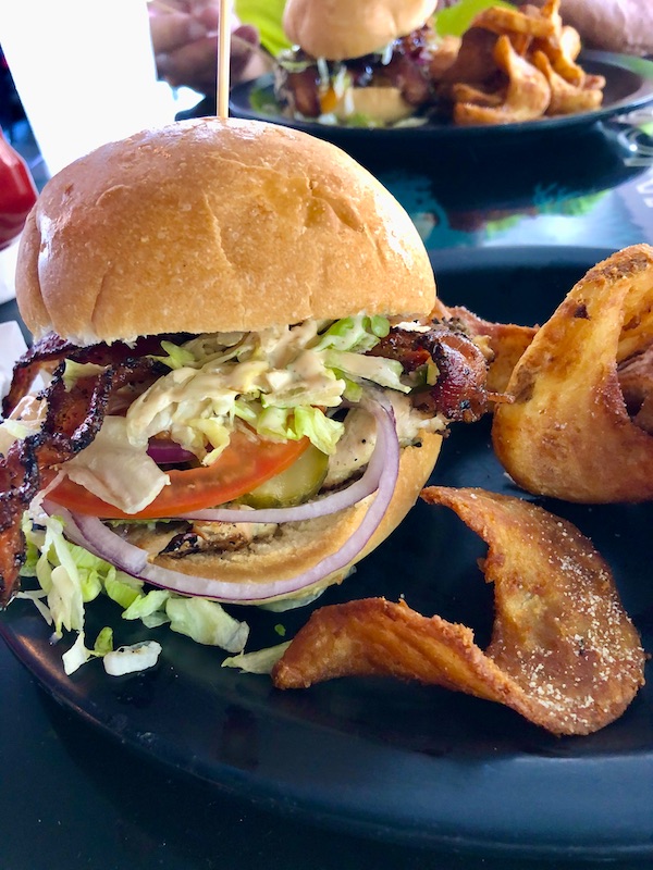A black plate with a grilled chicken sandwich and fries was lunch before the Norfolk Botanical Gardens
