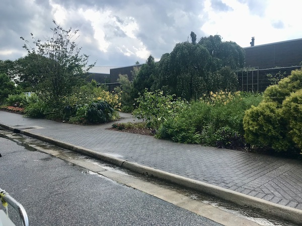 Gardens and butterfly house at Norfolk Botanical Gardens