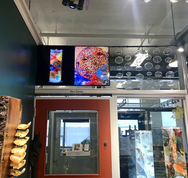 Art everywhere you look at The Torpedo Factory Alexandria Virginia
