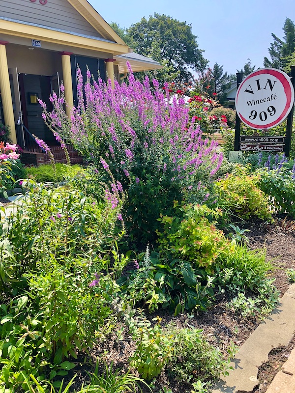 Colorful garden at Vin 909 in Annapolis Maryland