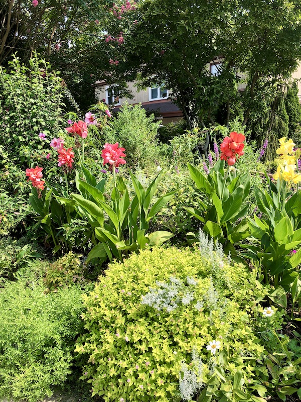 Colorful gardens at Vin 909 in Annapolis Maryland