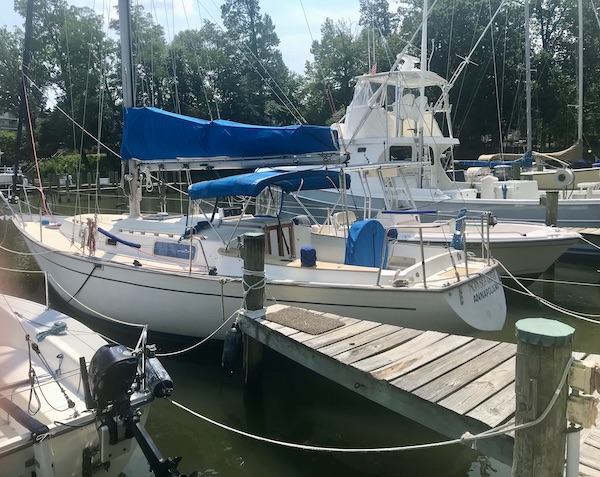A marina with boats docked in Washington DC and Annapolis Maryland