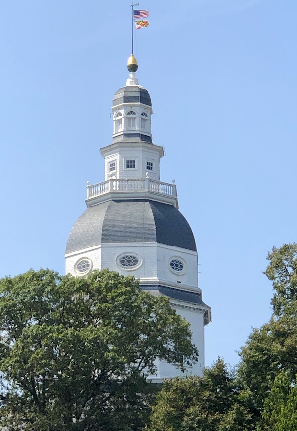 A white and gray tower appears above trees in Washington DC and Annapolis Maryland