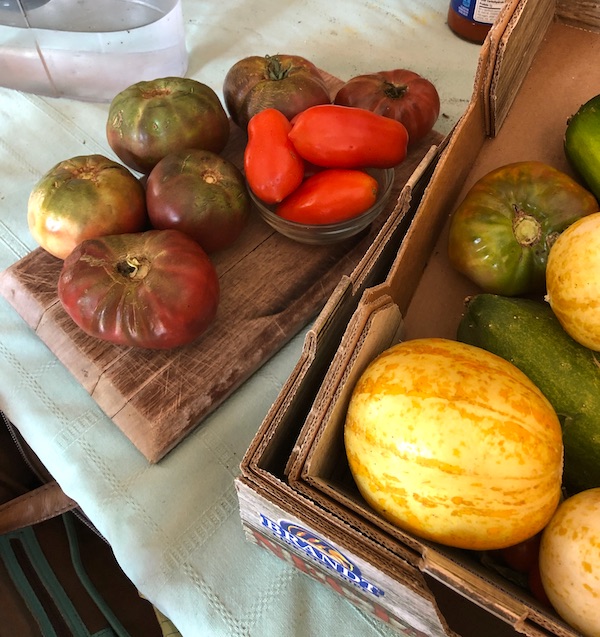 Tomatoes and cucumbers from the garden in Washington DC and Annapolis Maryland