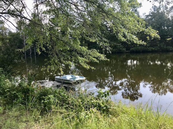 A lake with a light blue paddle boat hidden under the foliage in Birmingham Alabama