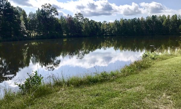 Grass and trees surrounding a lake. Blue sky and clouds reflected in the lake in Birmingham Alabama