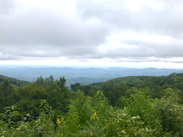 Trees and mountain ranges along the Blue Ridge Parkway NC