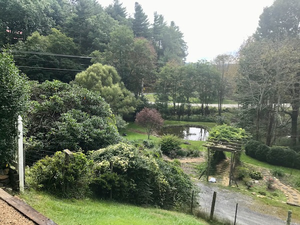 Beautiful landscaping and a pond near Blue Ridge Parkway NC