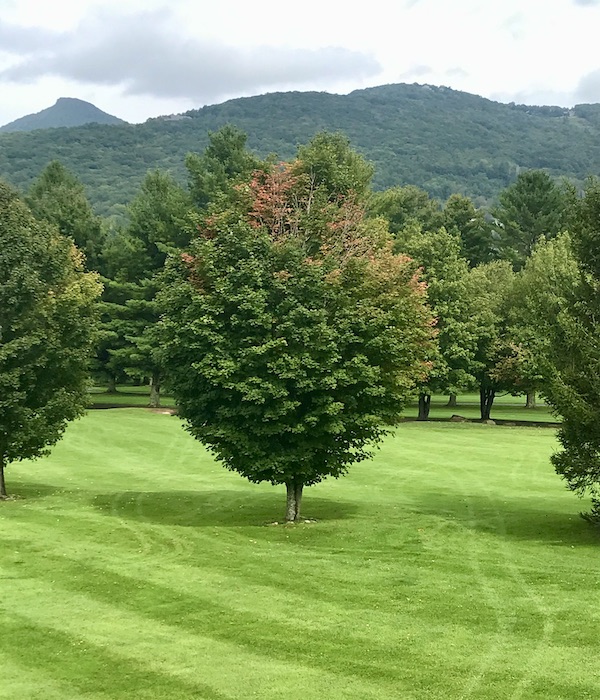 A golf course with a well manicured lawn, trees and mountains in the distance near the Blue Ridge Parkway NC