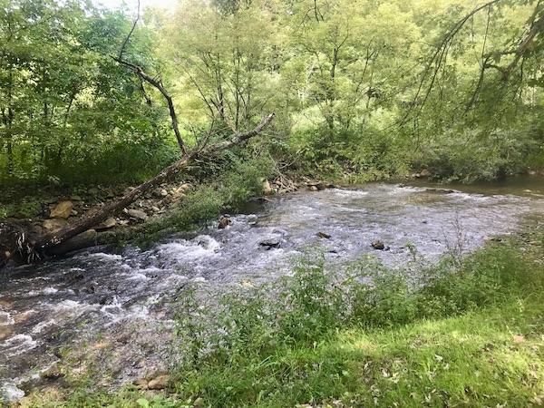 Trees and rushing water in Boone North Carolina