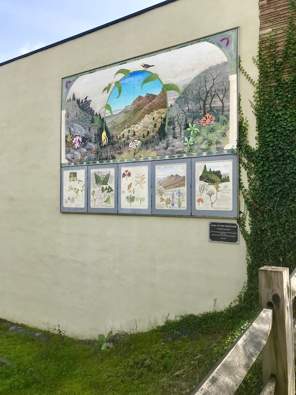 A wall with botanical artwork near Boone North Carolina