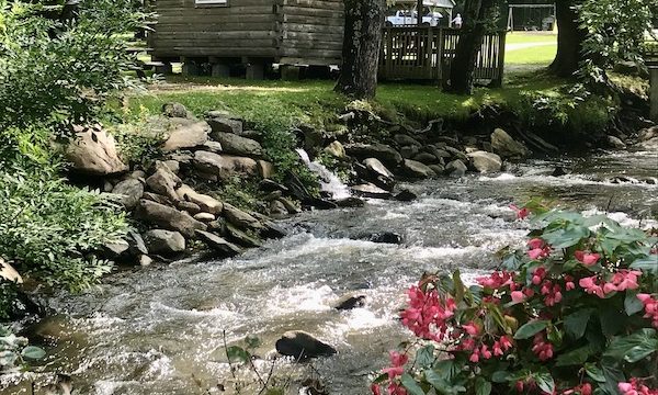 Red flowers, a rushing creek, rocks and a cabin in Boone North Carolina