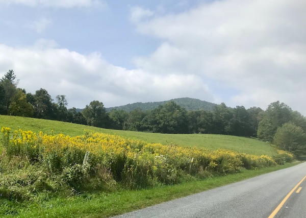 Mountains, lawn, trees and yellow wildflowers near Boone North Carolina