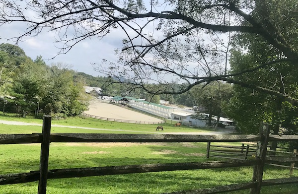 A horse farm, with 2 horses and green lawn near Boone North Carolina