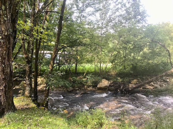 A creek with trees, lawn and rocks at Boone North Carolina