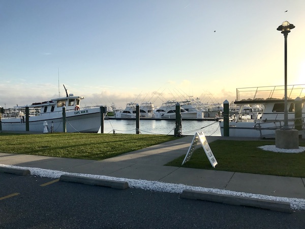 A marina with beautiful sport fishing boats at Delaware Seashore State Park