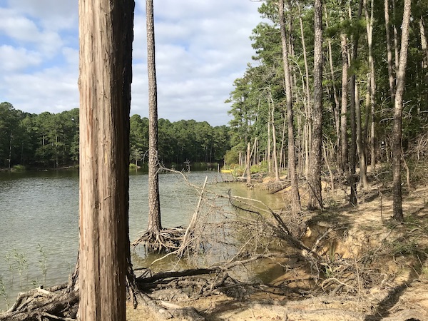 Lake, trees and barren tree trunks at Jordan Lakes State Park