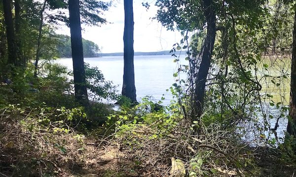 The view of a lake and sky seen through trees at Jordan Lakes State Park