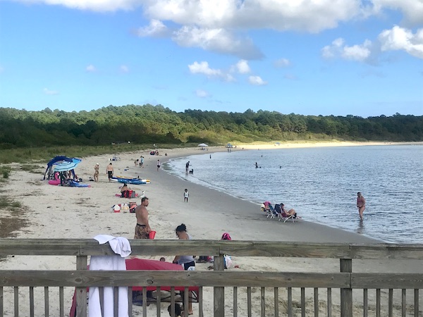 A beach with people and dogs in the water at Kiptopeke State Park in Virginia