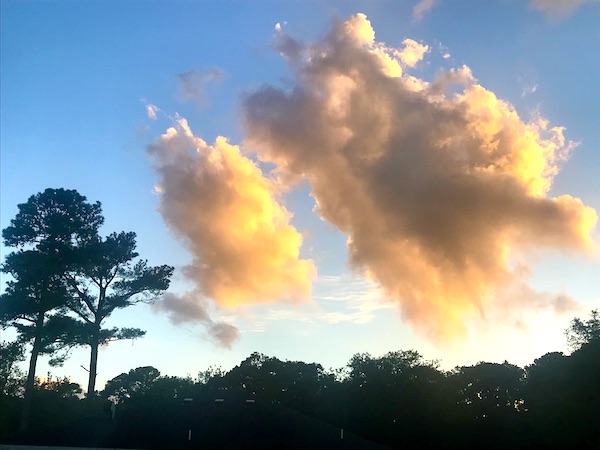 Trees, blue sky and puffy pink and yellow clouds at Kiptopeke State Park in Virginia