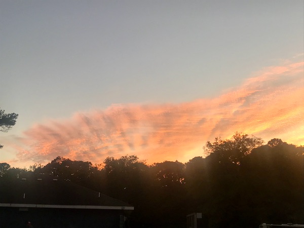 Trees with pink clouds in the sky at Kiptopeke State Park in Virginia