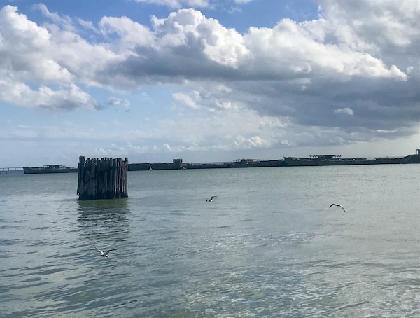 A body of water with seagulls in flight and puffy white clouds in the sky at Kiptopeke State Park in Virginia