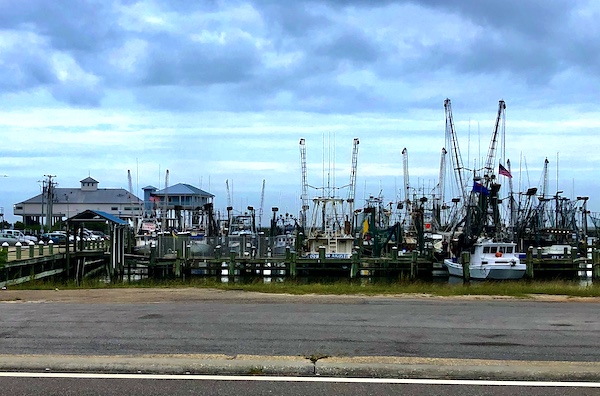 A marina with commercial fishing boats along our route from NOLA to Biloxi