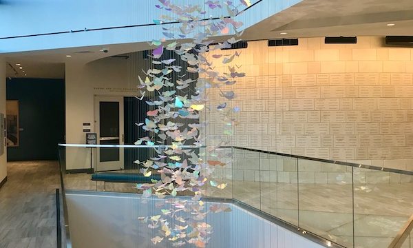 Hundreds of irridescent butterflies handing from the ceiling at the Holocaust Museum Houston