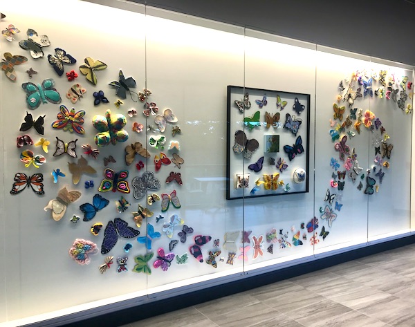 A wall case of colorful butterflies at the Holocaust Museum Houston