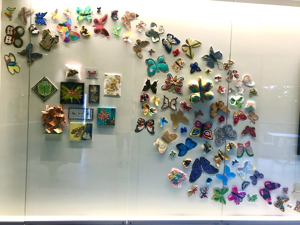 A wall case of hundreds of butterflies at the Holocaust Museum Houston