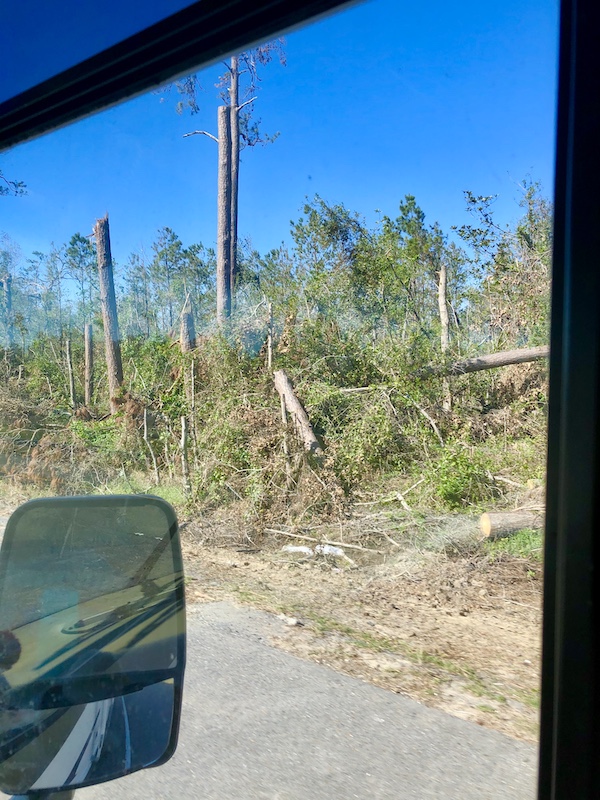 Downed trees seen through our RV's side window from Texas at Last!