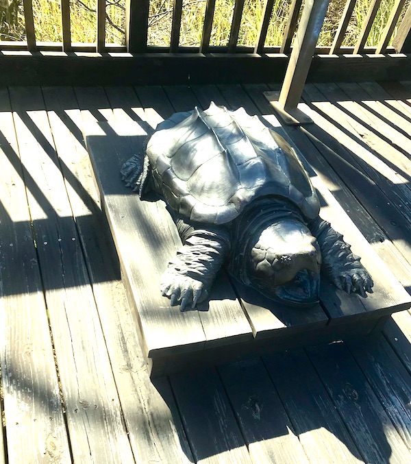 A gray tortoise sculpture on a wood deck in Texas at Last!