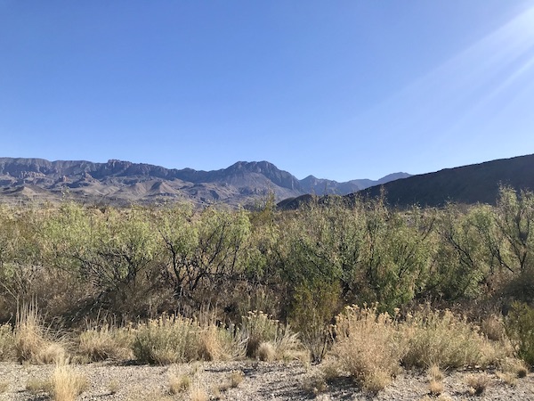 Volcanic mountains with lots of sand and tall grasses at Big Bend National Park Texas