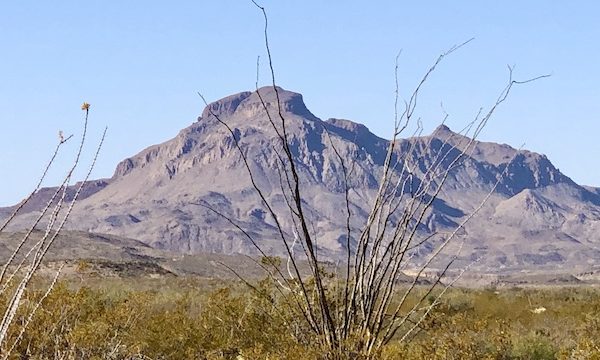 Leafless branch's, tall grasses, purple mountain and blue sky at Big Bend National Park Texas