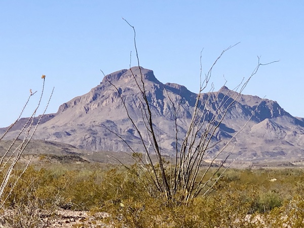 Leafless branch's, tall grasses, purple mountain and blue sky at Big Bend National Park Texas