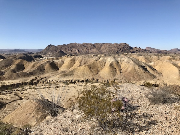 Mountains and canyon with sand and grasses at Big Bend National Park Texas