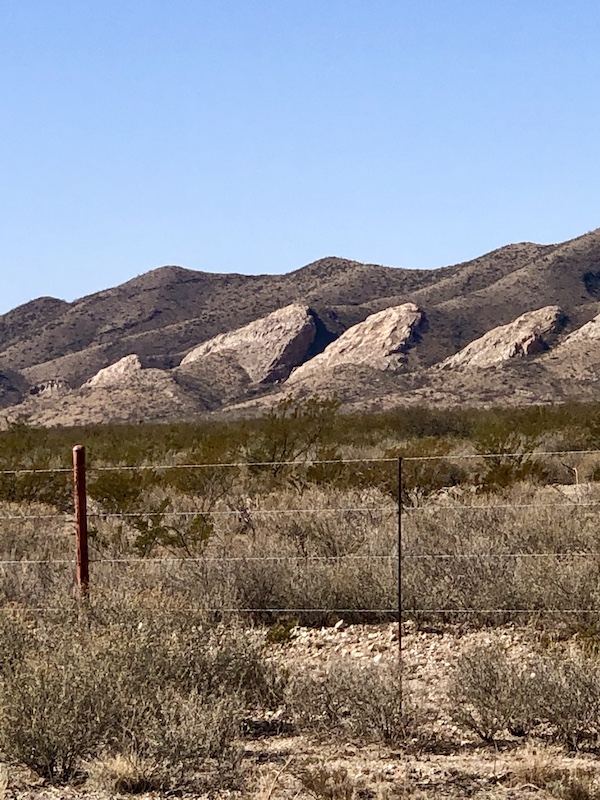 Sage brush and mountains with blue cloudless sky at Bend National Park Texas