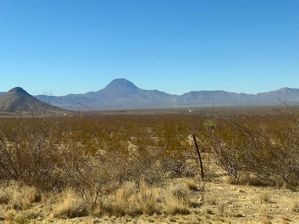 Dirt and grasses with mountains in background at Big Bend National Park Texas