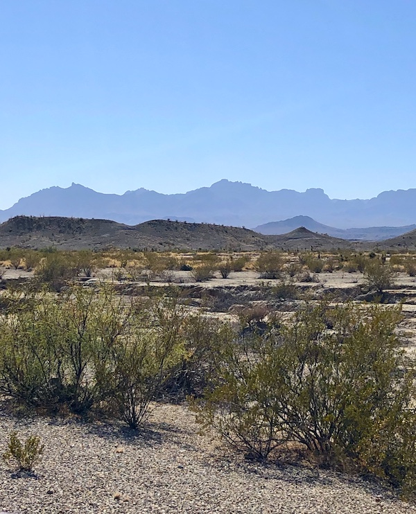 Prairie and mountains with cloudless blue sky at Big Bend.