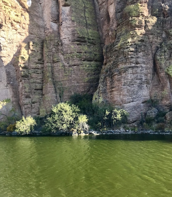 Large rocky mountain with plants growing out of cracks and lake below along the #Locavores #WeLoveFood #RestaurantOwner #Foodies #Chef #FoodTruck #Cafe #Bistro #Eatery #TheTravelingLocavores #Recipes #FoodStories #Cooking #Wanderlust #Traveling