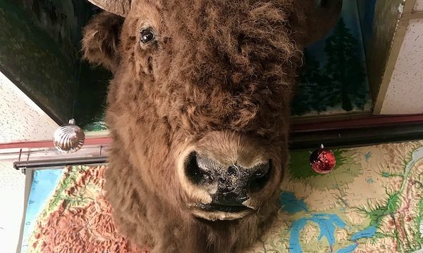 A buffalo head with a Santa hat hanging above a map at the O.K. Café in Tombstone AZ