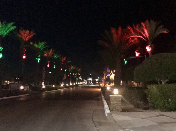 A Palm Tree lined street with the trees all lit in red and green at the Mesa Regal RV Resort