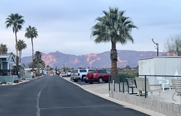 Purple mountains, cars parked, palm trees and RVs at Rincon Country East RV Resort Tucson AZ