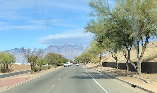 A tree lined street with mountain in the distance on our way to Rincon Country East RV Resort Tucson AZ