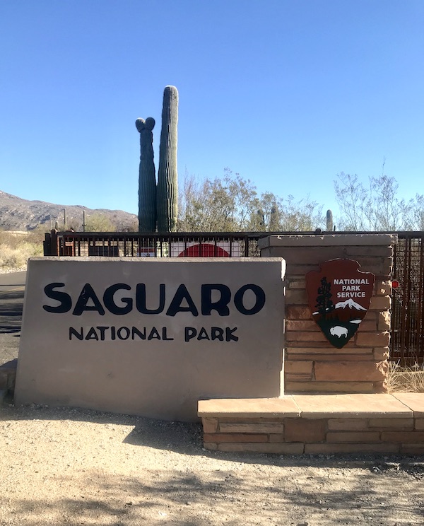 A tan stucco entry wall welcomes us to Saguaro National Park Arizona