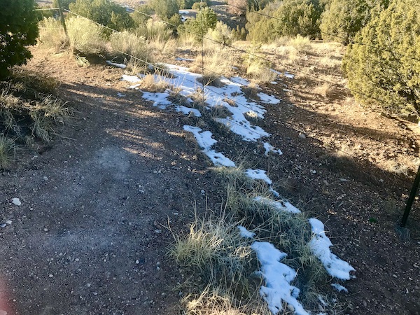 A lawn with patches of snow that we saw on our drive from Santa Fe to Albuquerque New Mexico