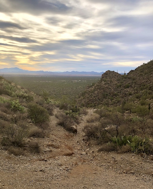 Desert views, mountains and setting sun seen on our drive home from the Sonoran Desert Museum