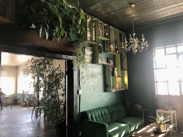 A dark green leather sofa and plants at The Waterstop Marfa Texas
