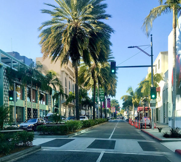 A large divided street with stores on each side and tall palm trees down the center in Opulent Beverly Hills California