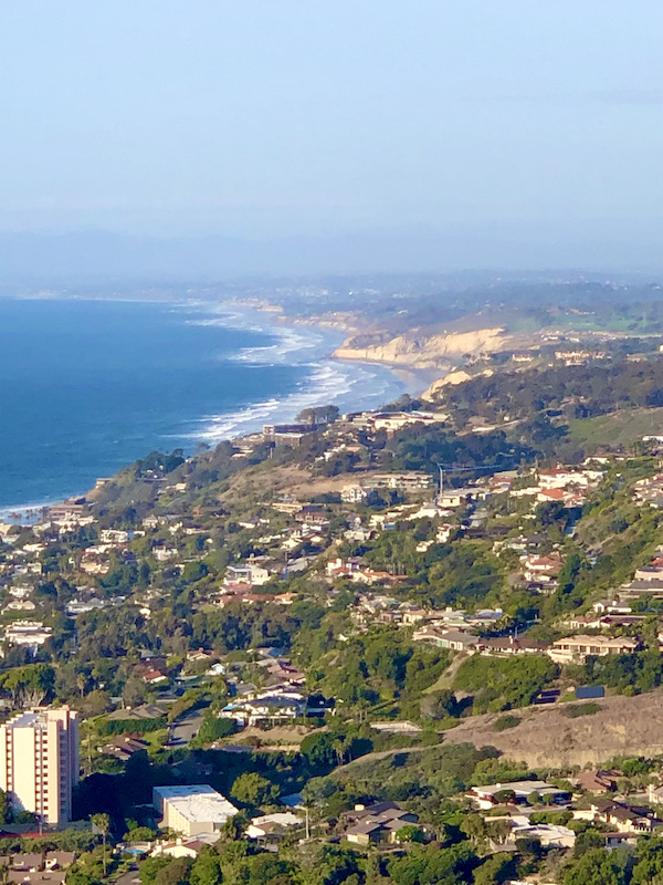 A coastal view with houses, plants, and ocean in San Diego California